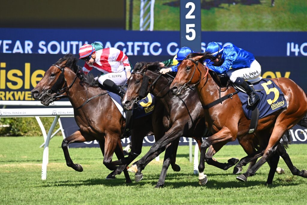Panic 1304024 5992 | Just Horse Racing