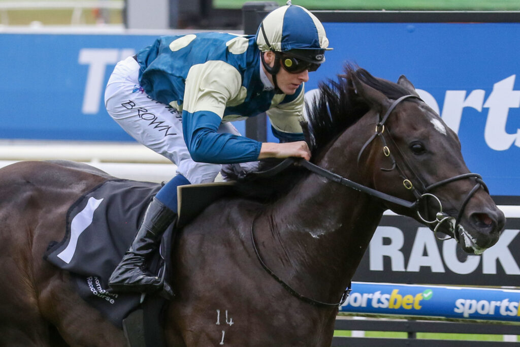 Perspiration_20-04-2024_WIN_Mornington_1__58 | Just Horse Racing