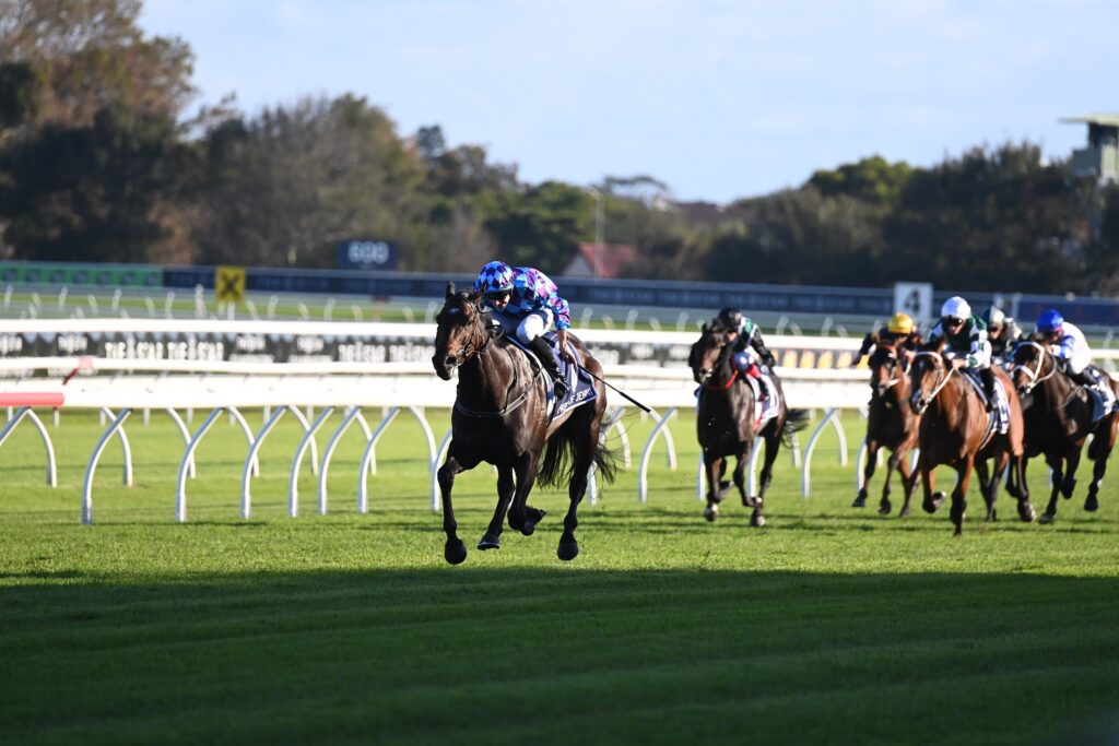 Pride Of Jenni 1304024 7620 | Just Horse Racing