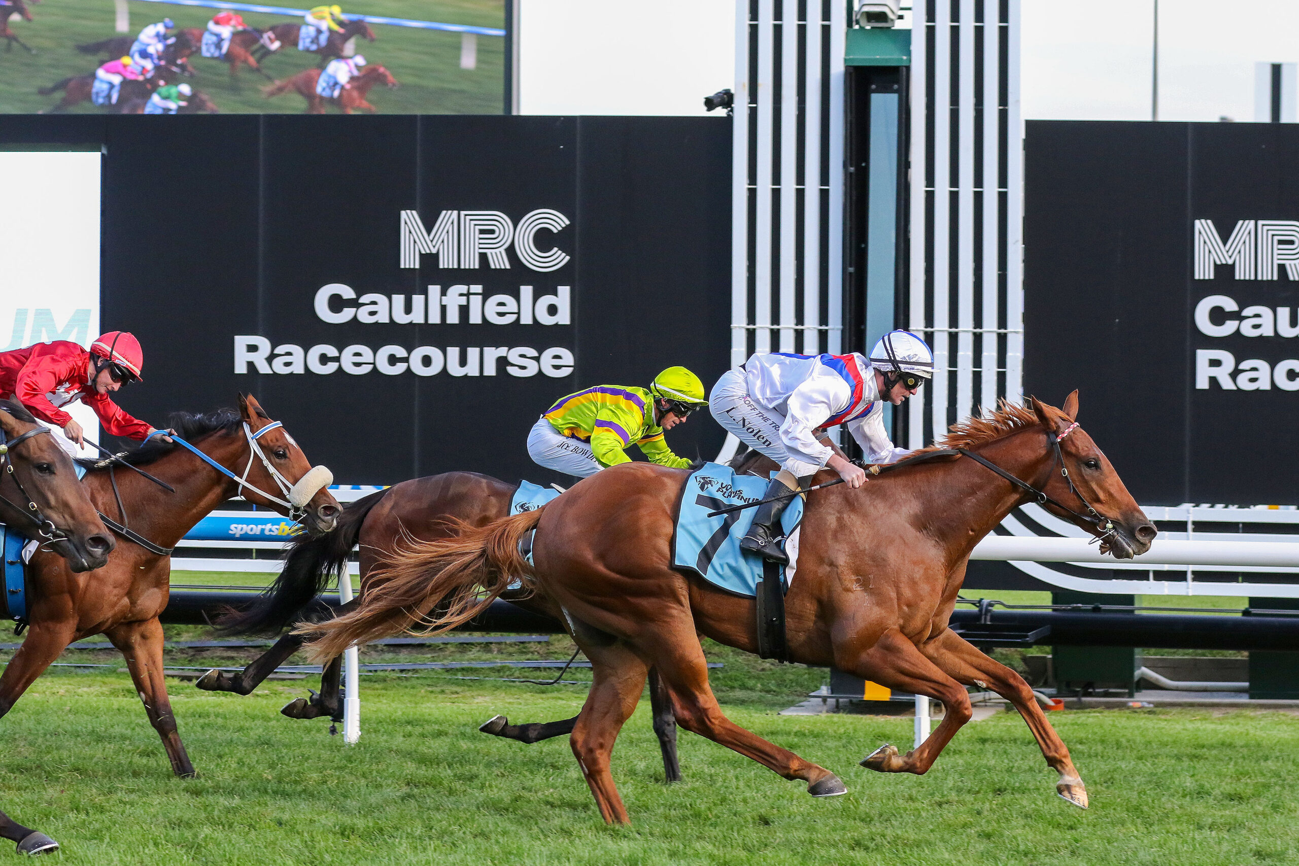 Ron Stanley Racing Debutant Stanley Express lands $1m The Showdown | Just Horse Racing