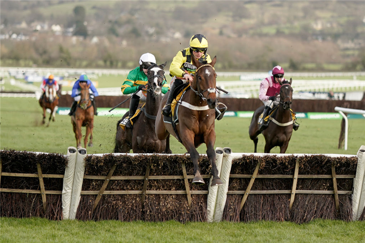 Jo Rathbone Jonbon gives stable reason to cheer again | Just Horse Racing