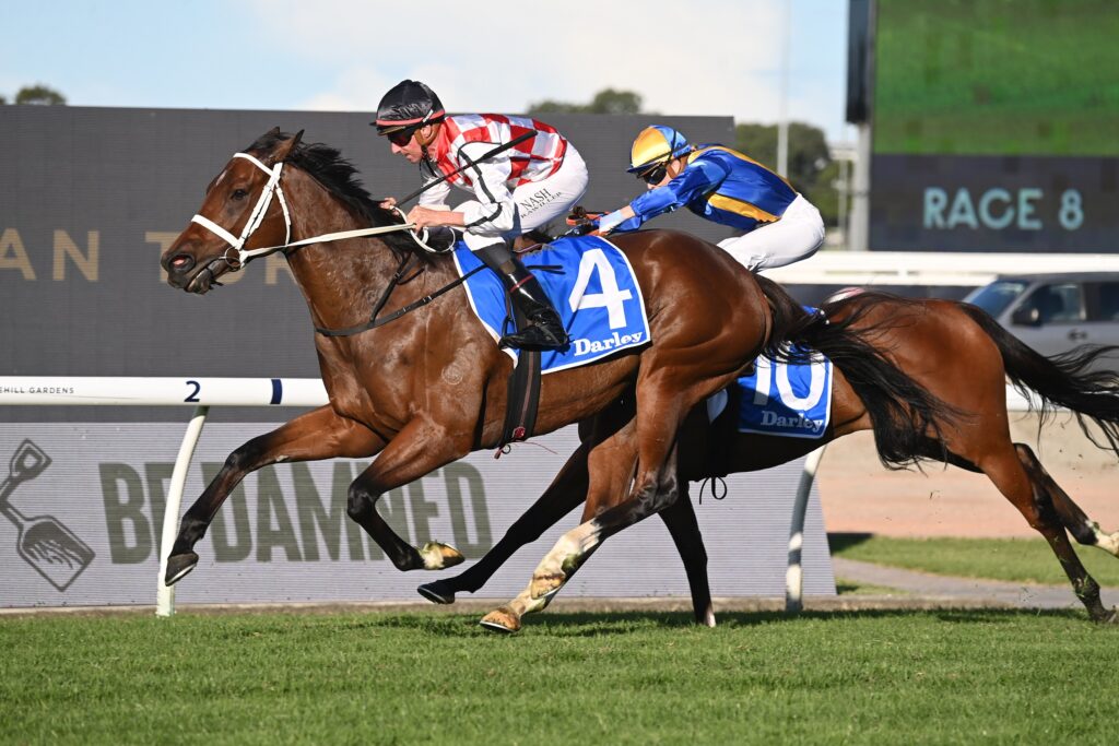 Waterford 2704024 1290 | Just Horse Racing