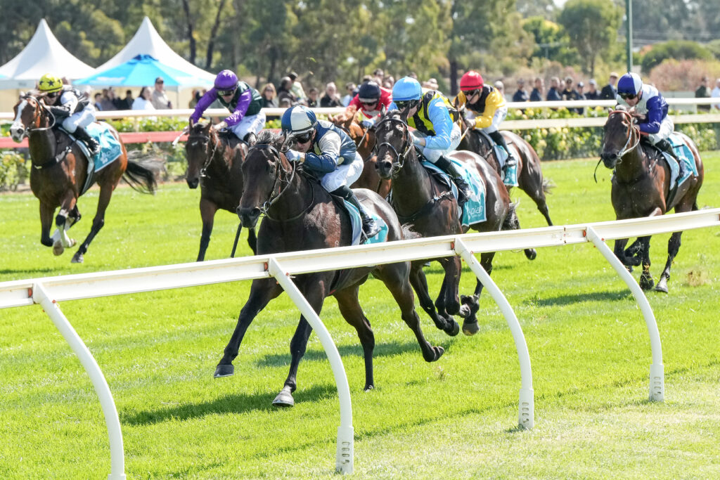 /r2/ | Just Horse Racing