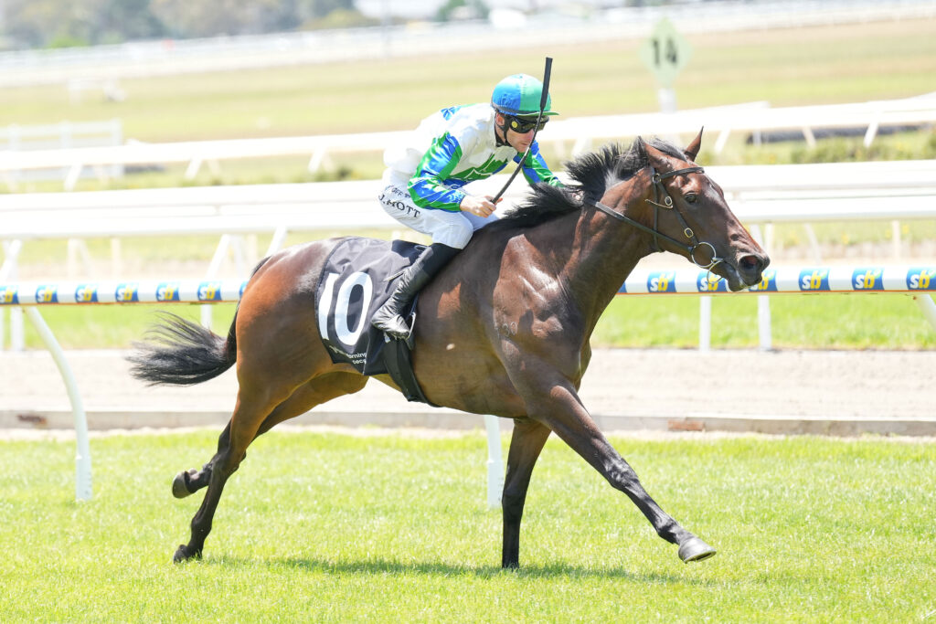 /r3/ | Just Horse Racing