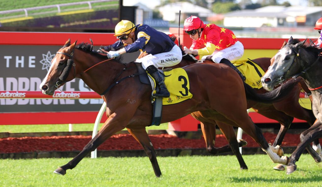 Bittercreek | Just Horse Racing