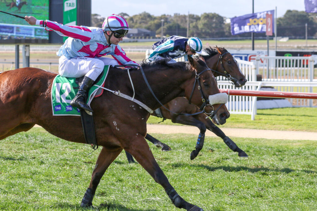 CHAINS OF HONOURV9A1159 | Just Horse Racing