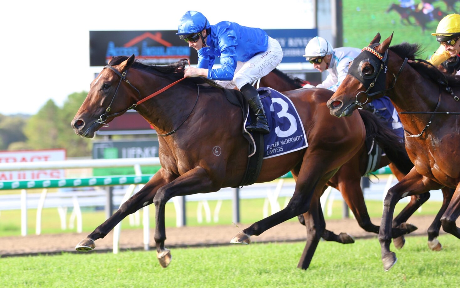 Gold Coast Guineas 2025 Field, Tips, Betting Odds, Results