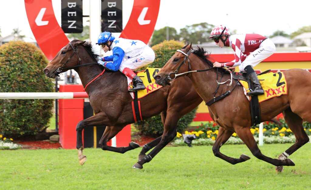 Golden Boom 4 | Just Horse Racing