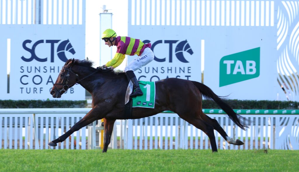 Numerian 2 | Just Horse Racing
