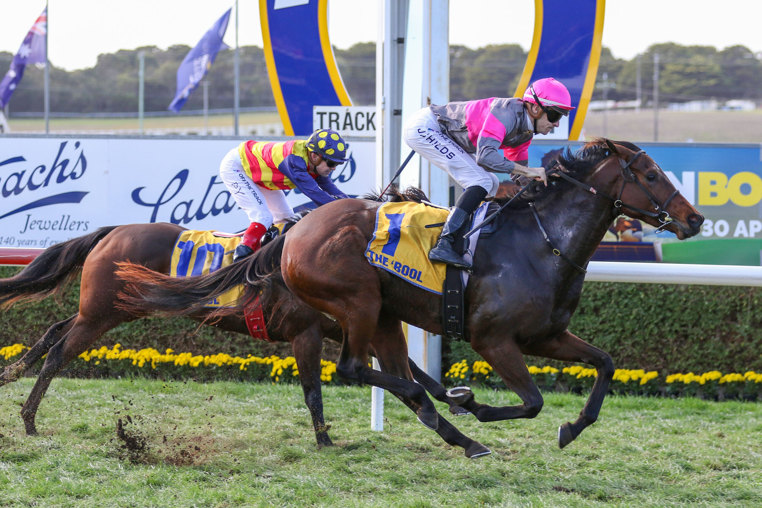 Swan Hill Cup Field & Odds – 2026 | Just Horse Racing