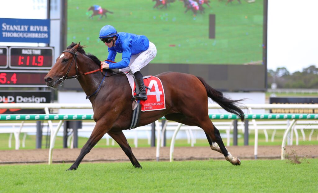 Pereille 2 | Just Horse Racing