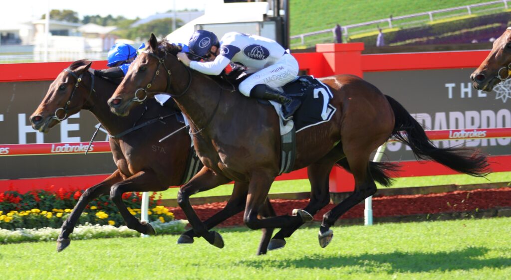 Spirit Ridge 5 | Just Horse Racing