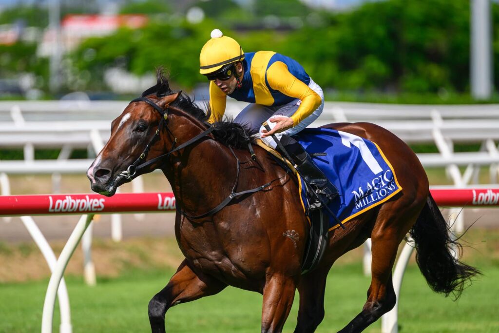 Stefi Magnetica | Just Horse Racing