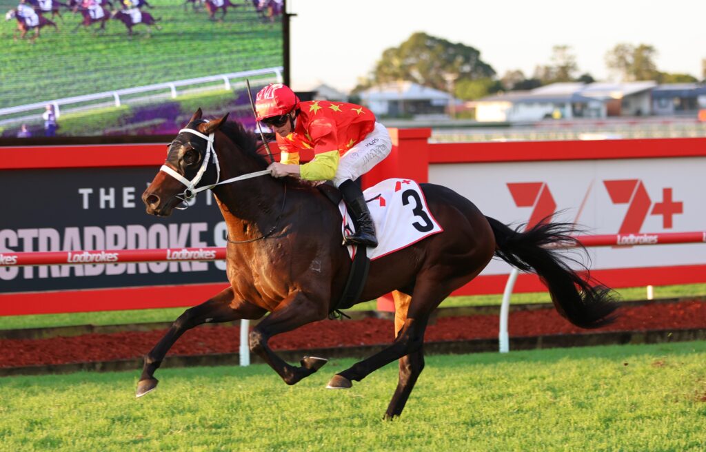 Tannhauser 4 | Just Horse Racing