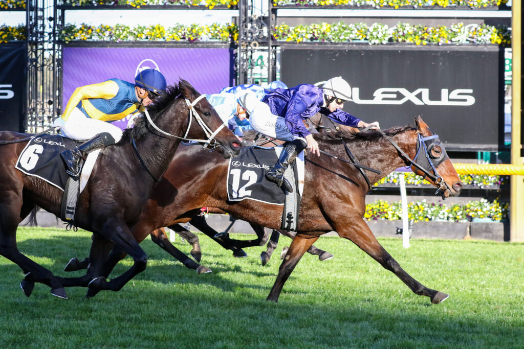 The Map lands Melbourne Cup berth