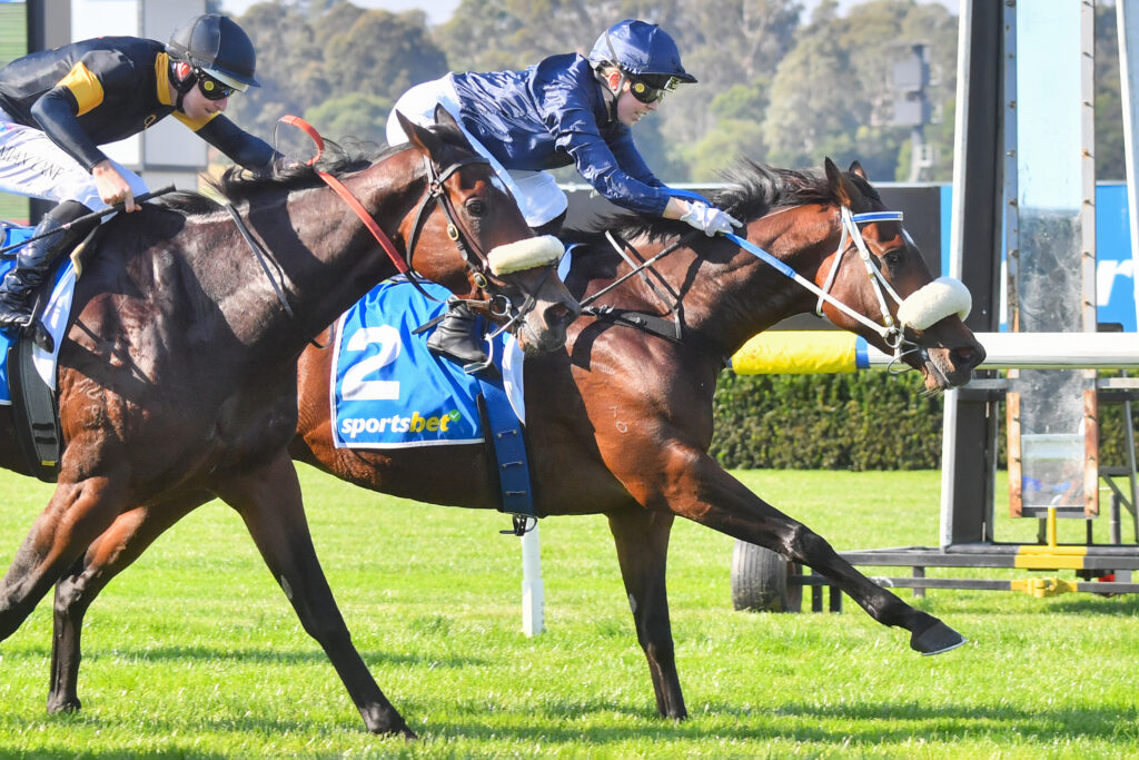 /r3/ | Just Horse Racing