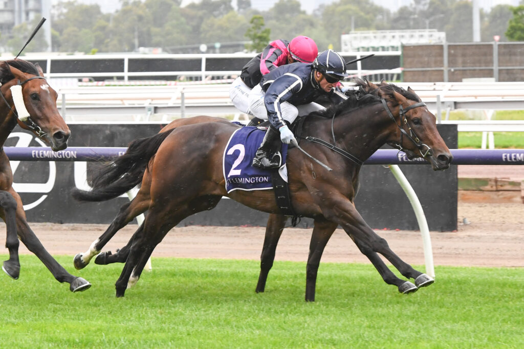 /r5/ | Just Horse Racing