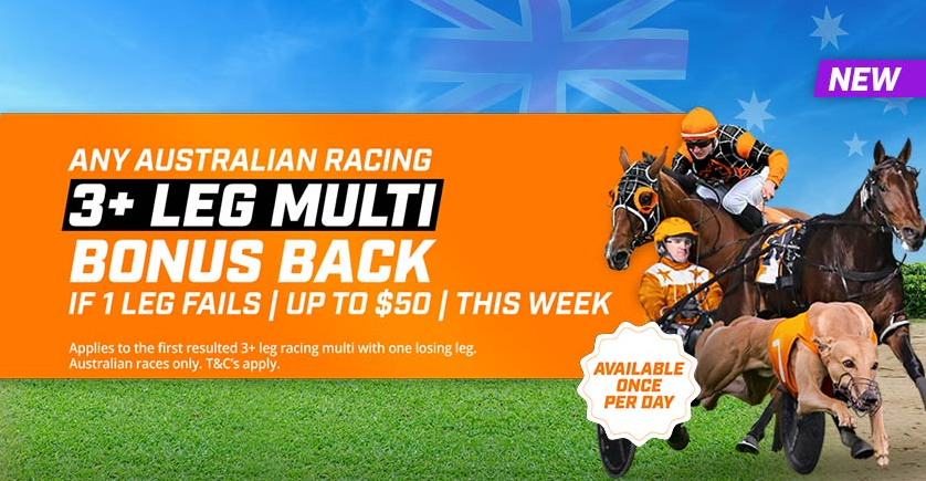 Any racing Multi | Just Horse Racing