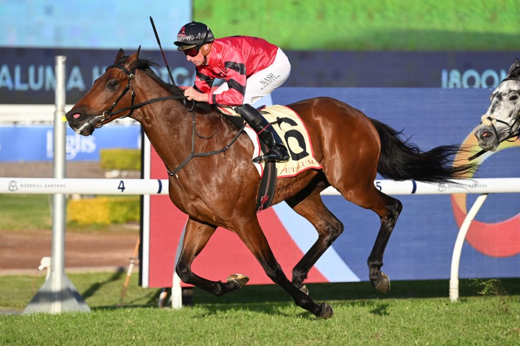 Bear On The Loose 290624 5353 | Just Horse Racing