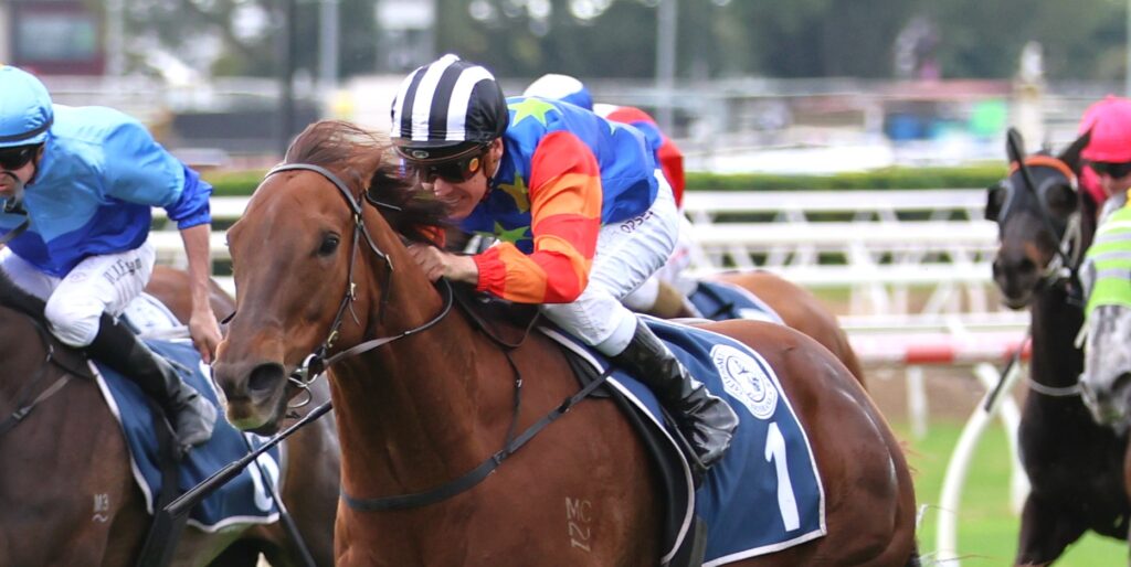 Bella Nipotina 4 | Just Horse Racing