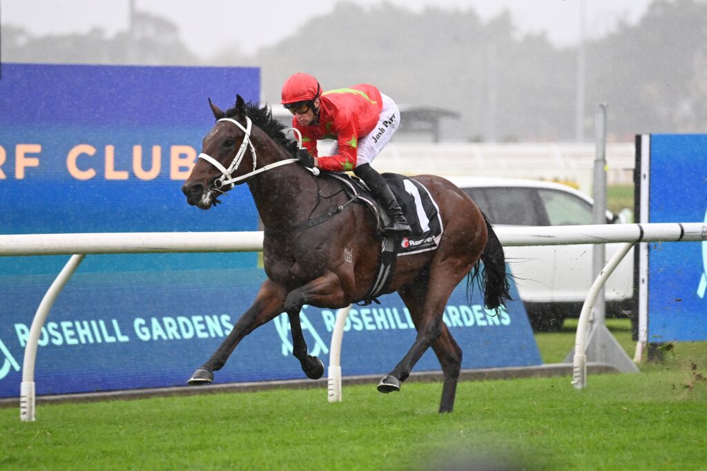 Emirate 0106024 6837 | Just Horse Racing