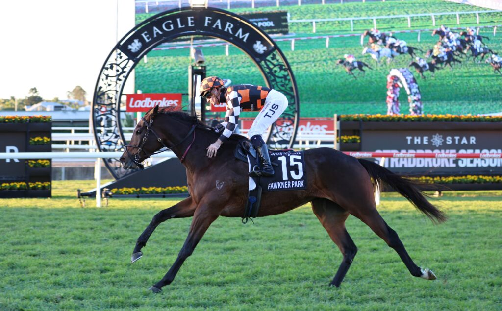 Fawkner Park | Just Horse Racing