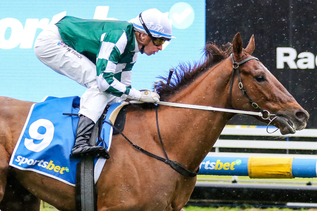 First Settler_29-06-2024_WIN_Caulfield_1__34 | Just Horse Racing