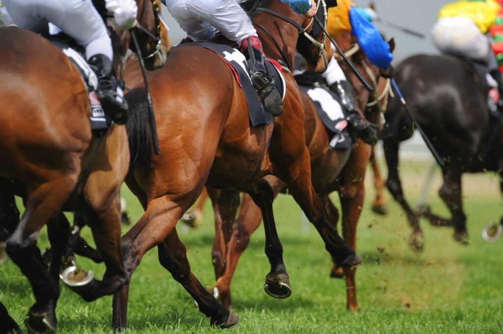Horse Racing | Just Horse Racing