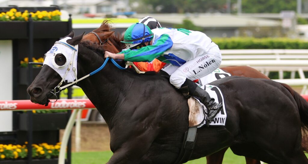 I WIsh I Win 3 | Just Horse Racing