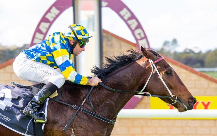 Jokers Grin overcomes wide barrier in Colonel Reeves Stakes | Just ...