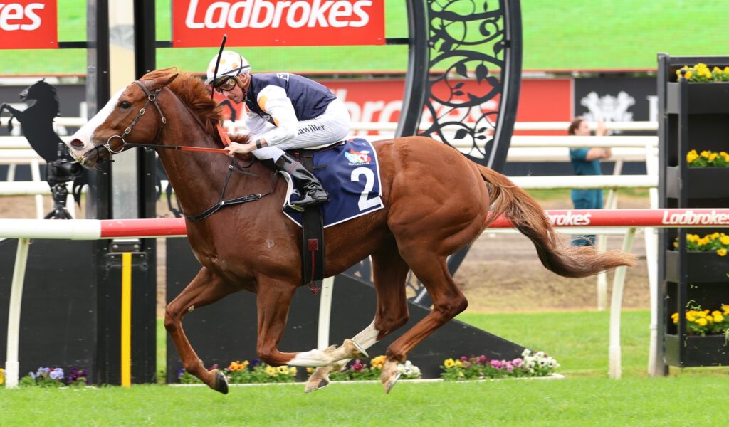 Just Folk | Just Horse Racing