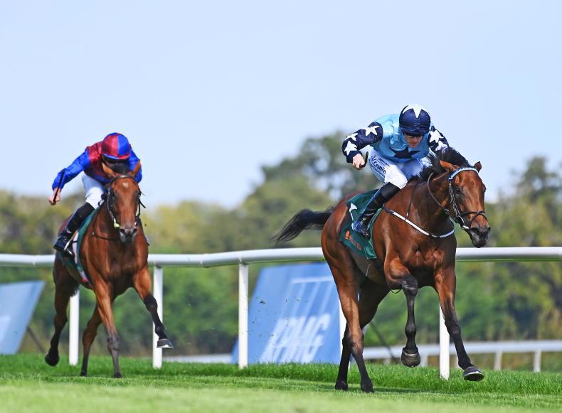 Kitty Rose | Just Horse Racing