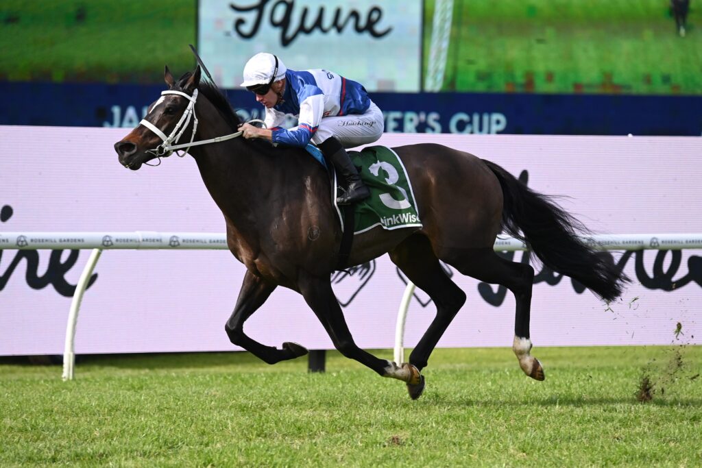 Speycaster 290624 4304 | Just Horse Racing