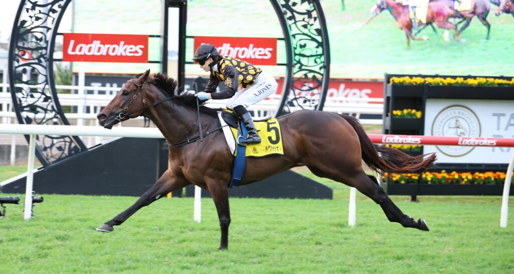 Zarastro | Just Horse Racing