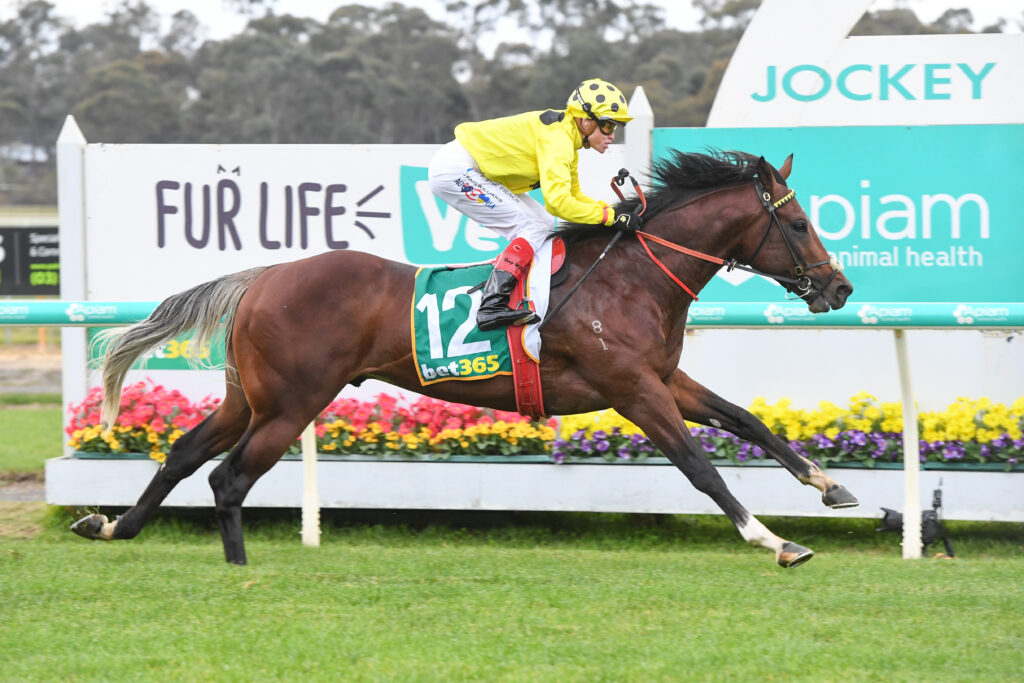 /r3/ | Just Horse Racing
