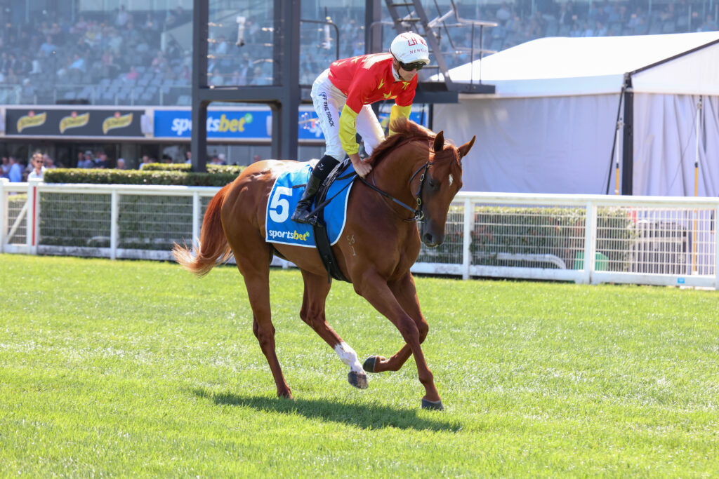 /r6/ | Just Horse Racing