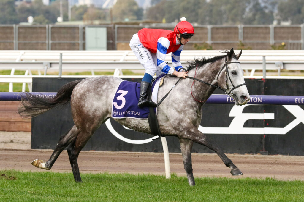 0BERKSHIRE BREEZE9A0290 | Just Horse Racing