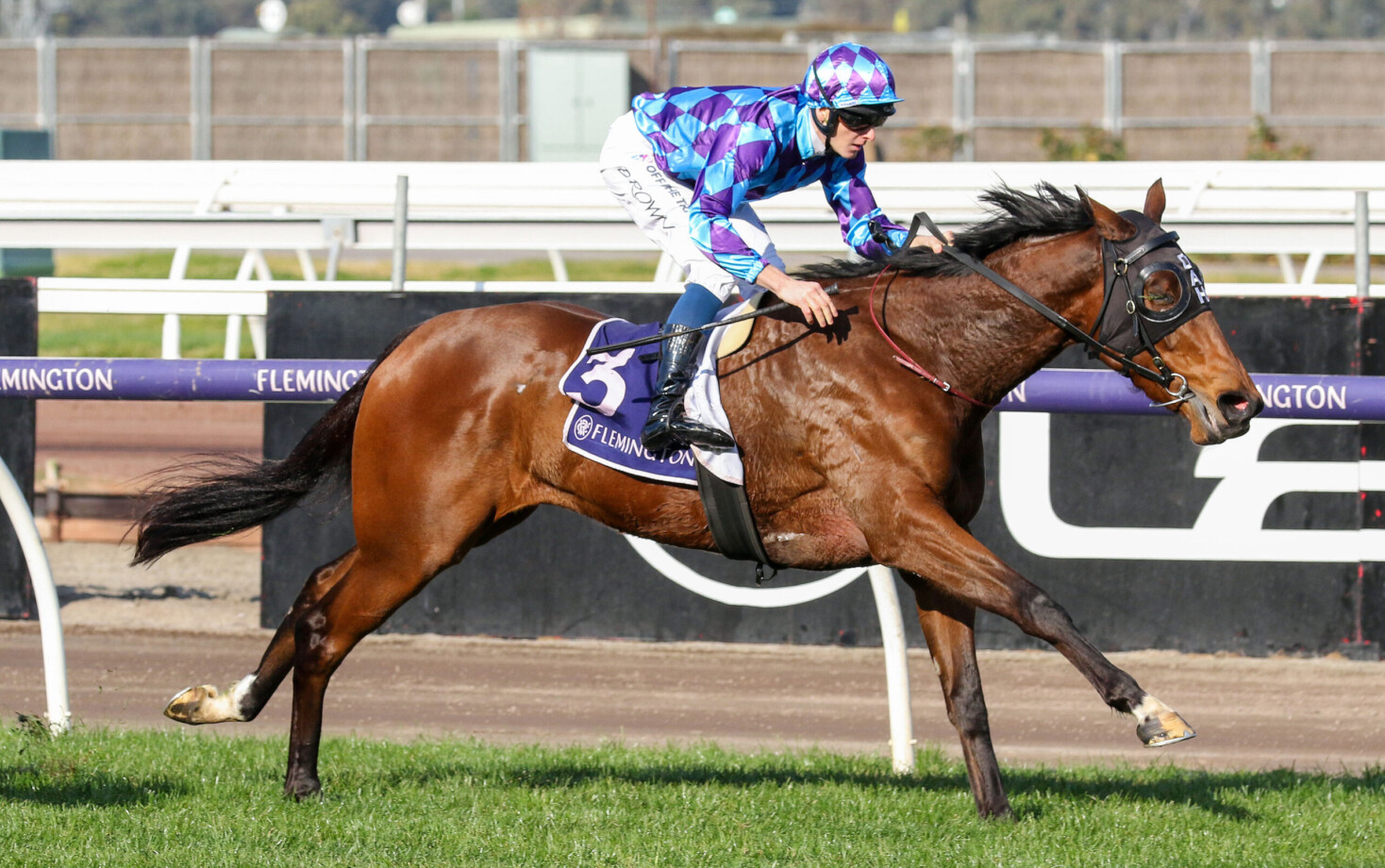 Jenni’s Meadow primed for Queensland Oaks | Just Horse Racing