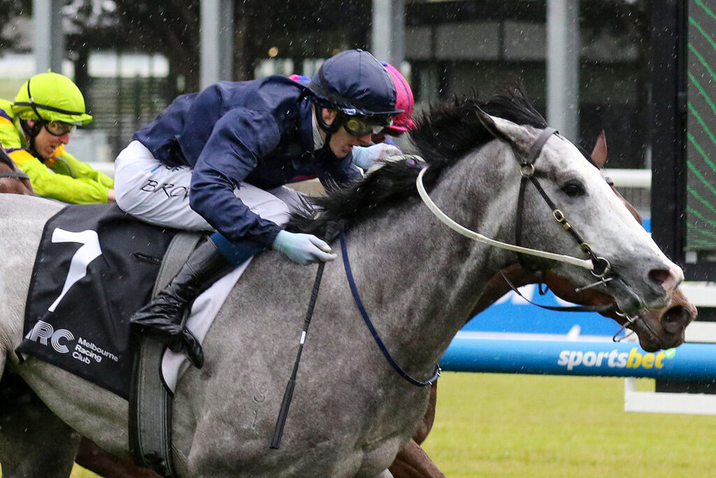 0VPUBLIC ATTENTIONA0186 | Just Horse Racing