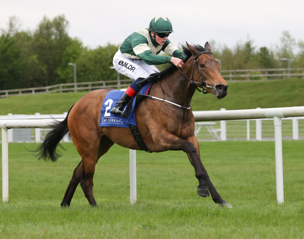 Asian Daze | Just Horse Racing