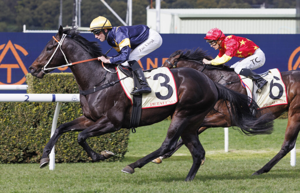 BraveOne-20240706-9061 | Just Horse Racing