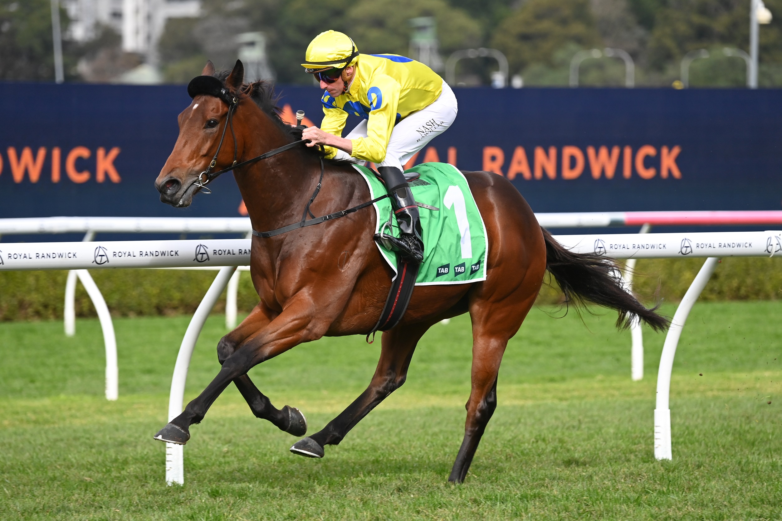 Lismore Cup nominations – 2025 | Just Horse Racing