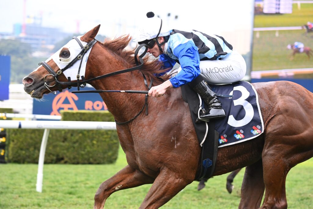 Green Shadows 270724 9858 | Just Horse Racing