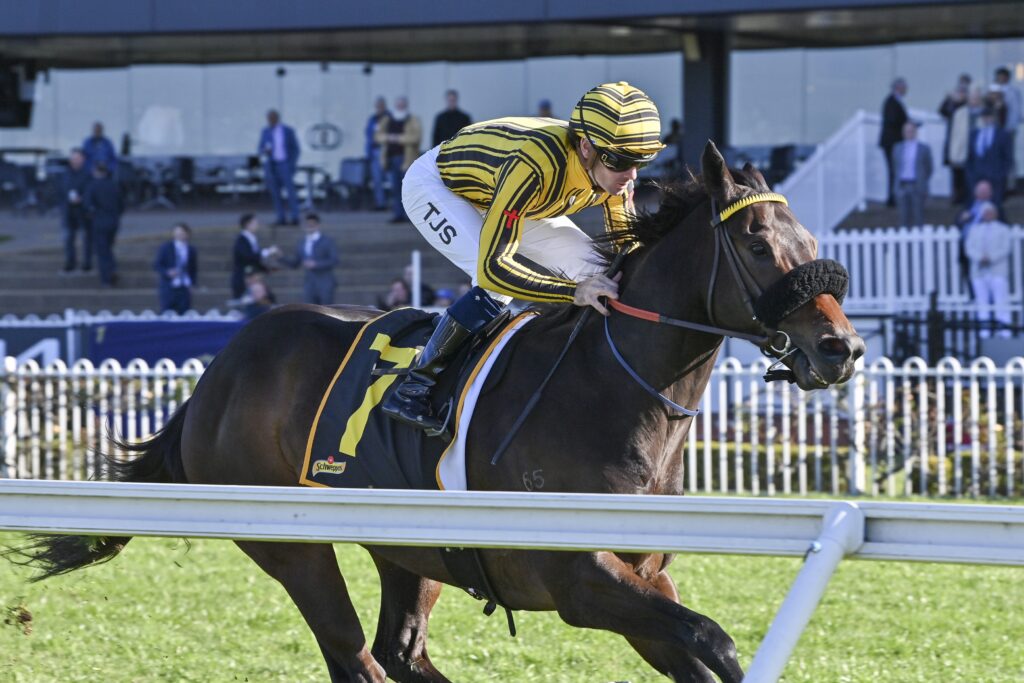 DSC_8592JEDIBEEL,Z_6_RH_20072024__E682 | Just Horse Racing