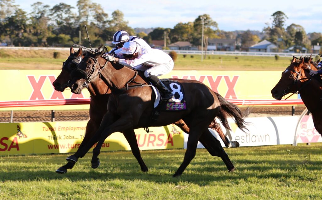Ka Bling 4 | Just Horse Racing
