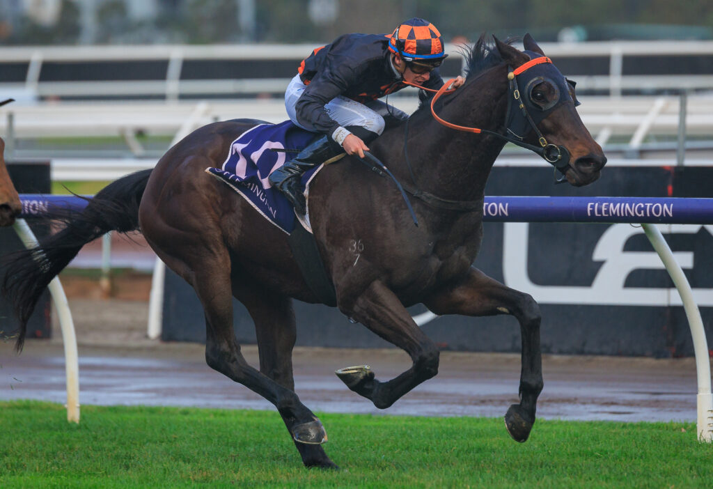 Flemington Race Day - | Just Horse Racing