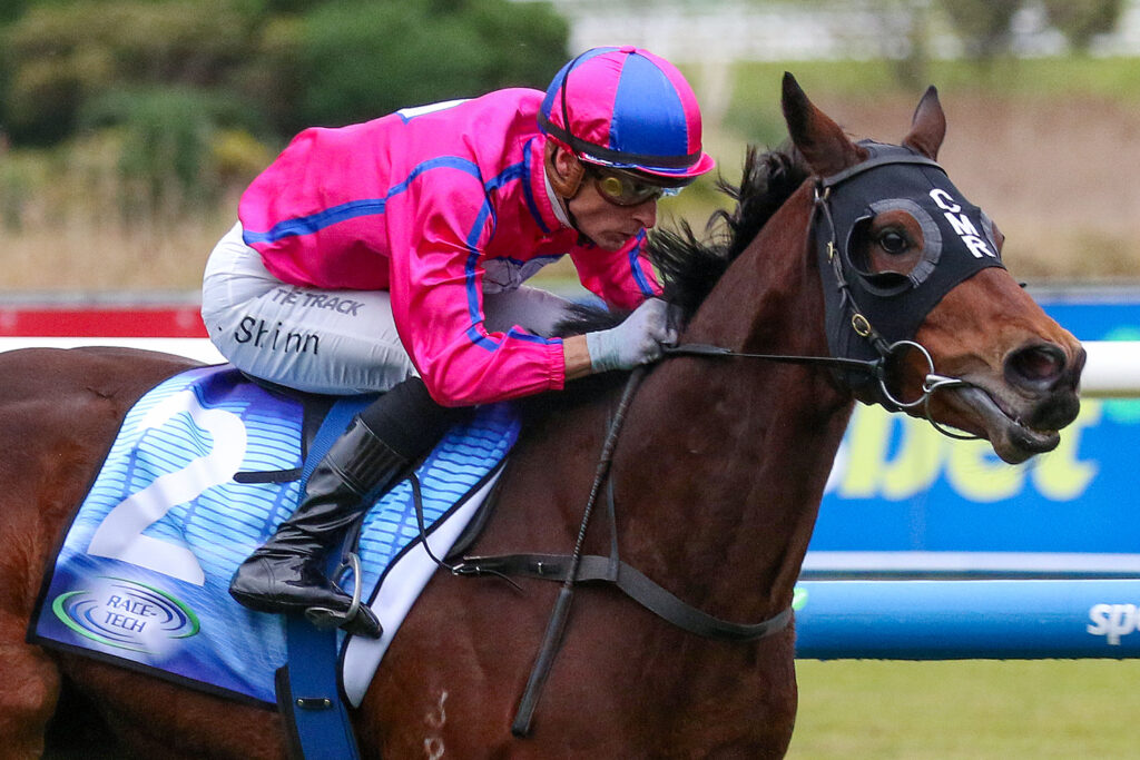 Recommendation,Bletchingly Stakes,Group 3_27-07-2024_WIN_Caulfield_7__701 | Just Horse Racing