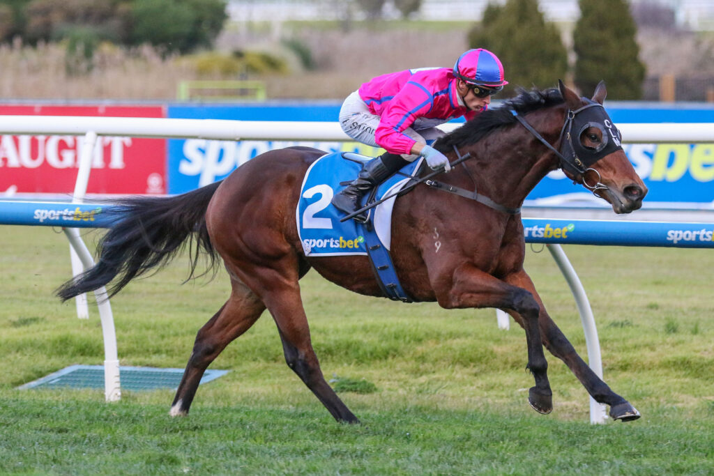 Recommendation,Sir John Monash Stakes,Group 3_13-07-2024_WIN_Caulfield_8__942 | Just Horse Racing