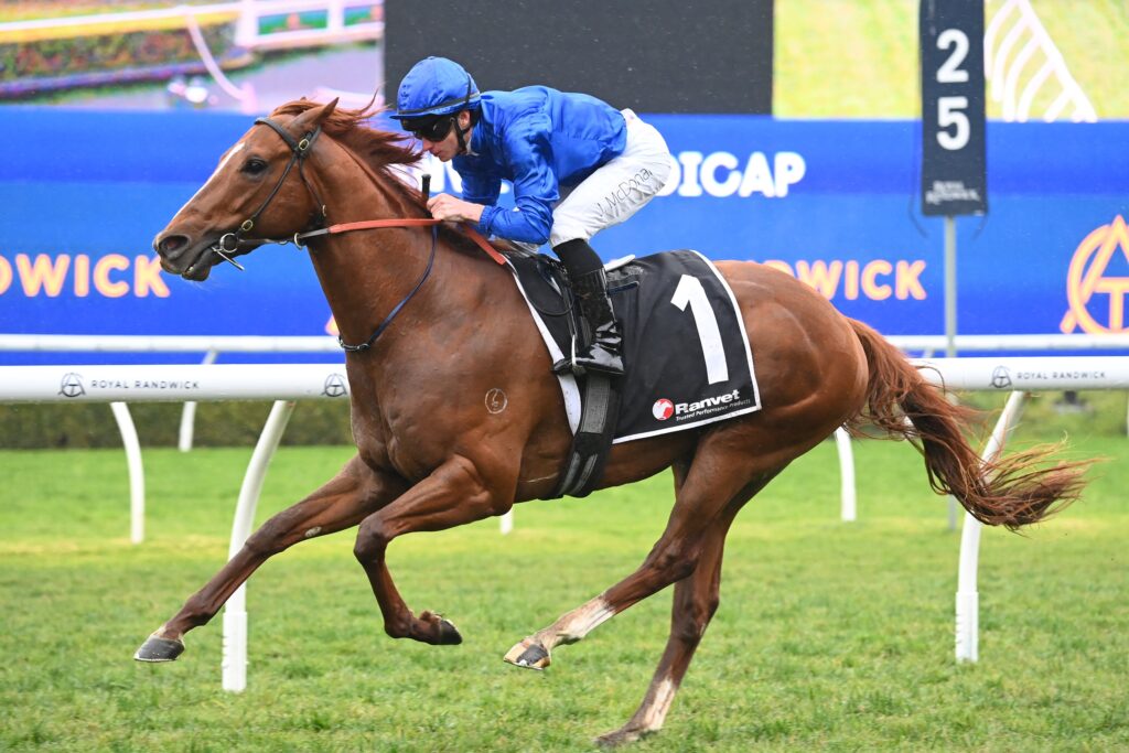 Tarpaulin 270724 9578 | Just Horse Racing