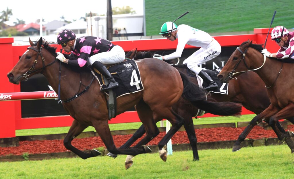 bella khadijah 2 | Just Horse Racing
